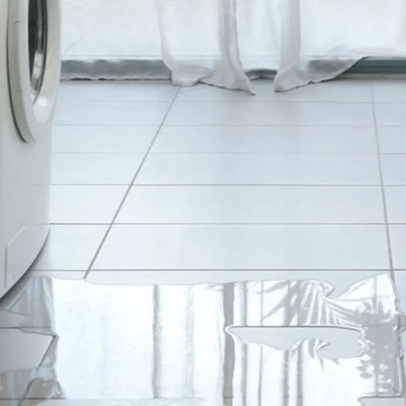 Appliance Leak Cleanup in Ripon, CA